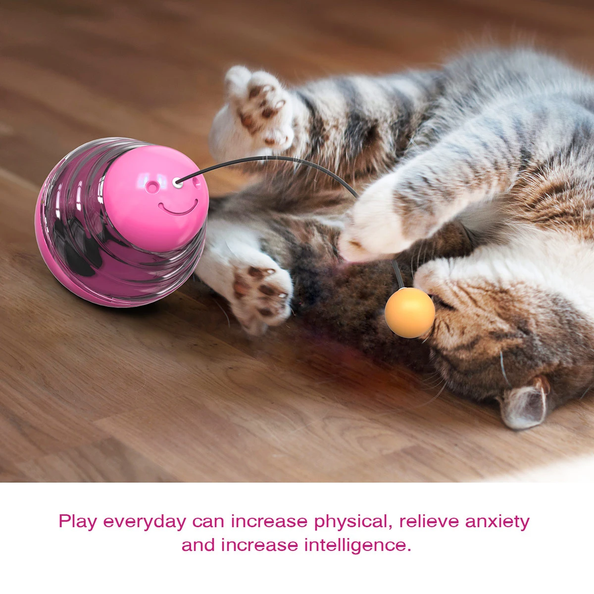 Pet Dog Cat Food Feeding Treat Ball Bowl Toy Funny Shaking Leakage Food Container Puppy Cat Feed Tumbler Toy Pet Supplies
Pet Dog Cat Food Feeding Treat Ball Bowl Toy Funny Shaking Leakage Food Container Puppy Cat Feed Tumbler Toy Pet Supplies