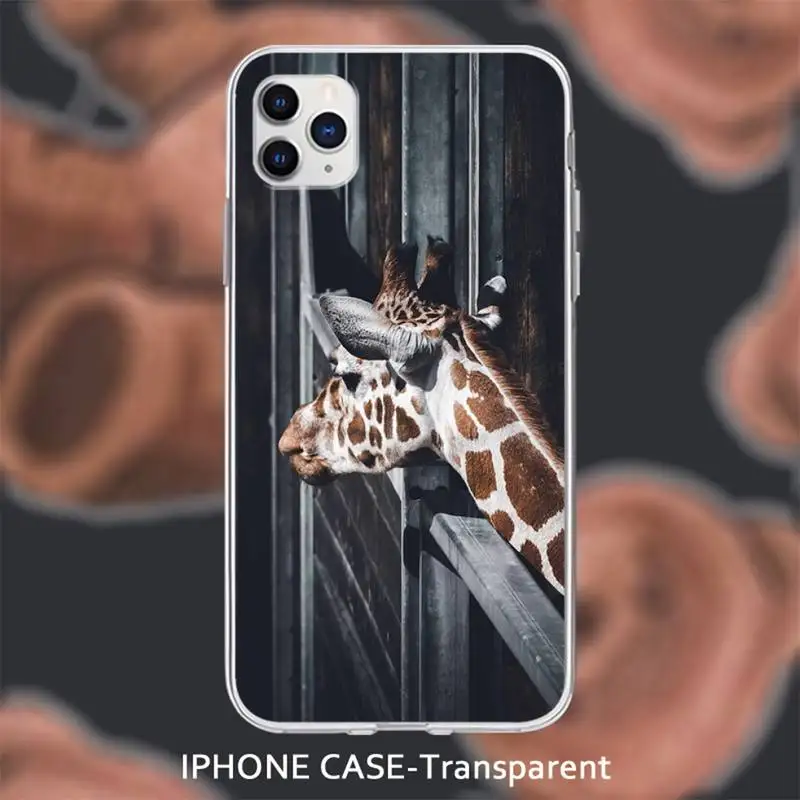 Giraffe Spot Transparent soft cover case for iphone se 2020 6 6s 7 8 plus x xs max xr 11 12 pro max coque
Giraffe Spot Transparent soft cover case for iphone se 2020 6 6s 7 8 plus x xs max xr 11 12 pro max coque