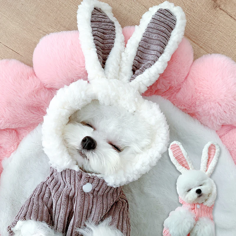 Cute Dog Coat Jacket Winter Dog Clothes Funny Pet Clothing Hoodie Cat Chihuahua Yorkie Poodle Pomeranian Schnauzer Costume
Cute Dog Coat Jacket Winter Dog Clothes Funny Pet Clothing Hoodie Cat Chihuahua Yorkie Poodle Pomeranian Schnauzer Costume