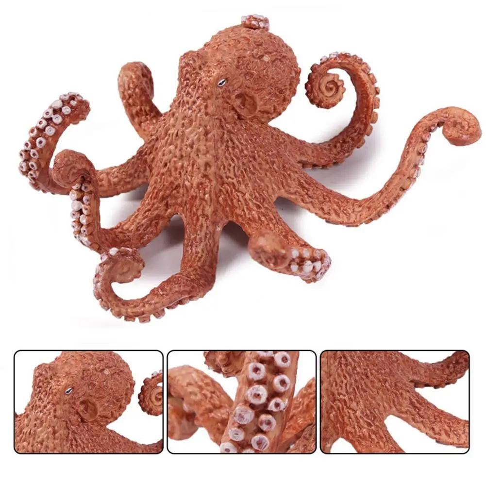 9.5cm 3.7inch North America Octopus Ocean Sea Figurine Toy Figures Educational Simulation Ornaments For Living Room Office
9.5cm 3.7inch North America Octopus Ocean Sea Figurine Toy Figures Educational Simulation Ornaments For Living Room Office