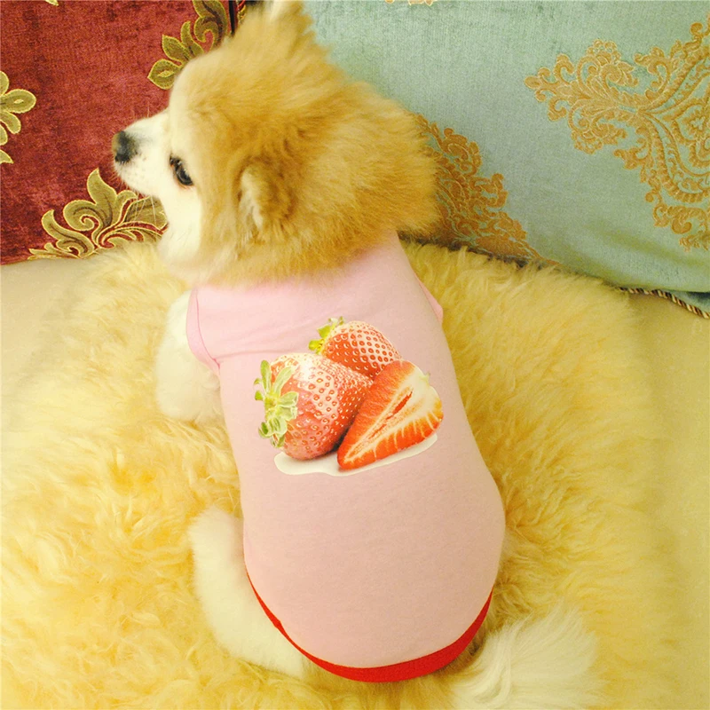 Small Pet Dog Cat Princess Vest Kitten T-shirt Clothes Summer Cute Small Pet Dog Puppy Cat Clothes Watermelon Printed Pink Vest
Small Pet Dog Cat Princess Vest Kitten T-shirt Clothes Summer Cute Small Pet Dog Puppy Cat Clothes Watermelon Printed Pink Vest