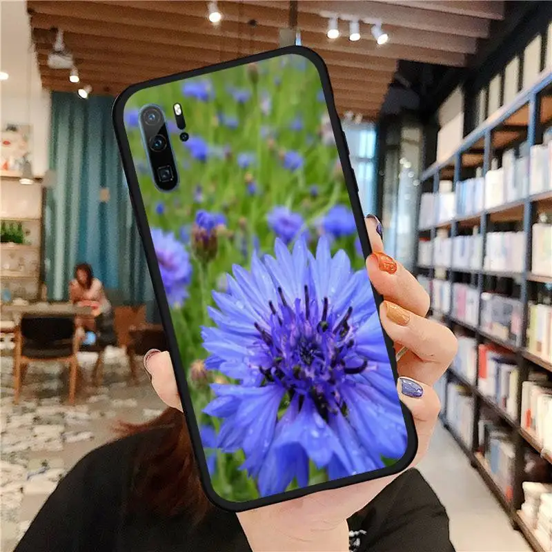 Flower Blue Cornflowers beatuiful Phone Case For Huawei honor Mate P 9 10 20 30 40 Pro 10i 7 8 a x Lite nova 5t silicone funda
Flower Blue Cornflowers beatuiful Phone Case For Huawei honor Mate P 9 10 20 30 40 Pro 10i 7 8 a x Lite nova 5t silicone funda