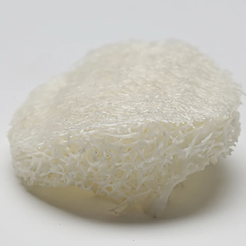 50 5.5cm Round Loofah Loofah Loofah Makeup Remover Facial Skin Disc Pad Facial Cleansing Brush 
50 5.5cm Round Loofah Loofah Loofah Makeup Remover Facial Skin Disc Pad Facial Cleansing Brush