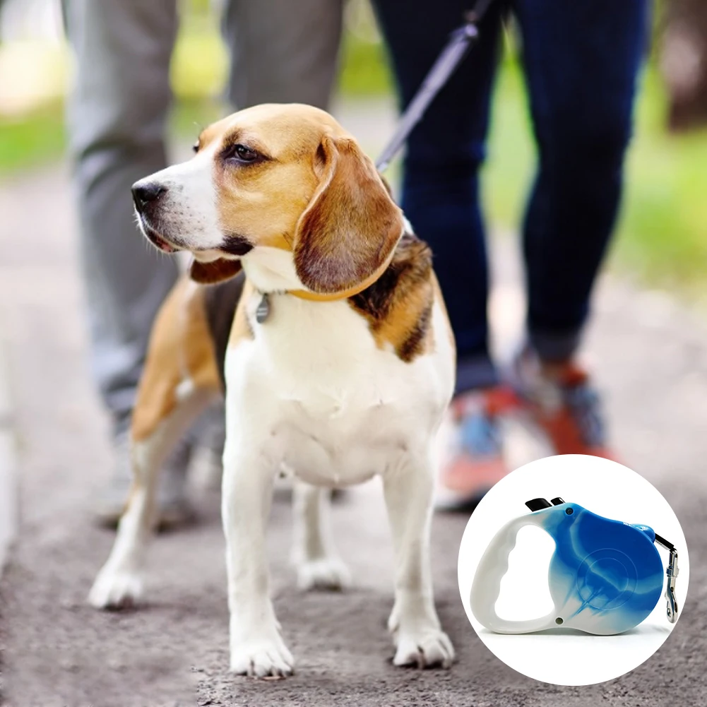 Durable Dog Leash Automatic Retractable Nylon Dog Lead Extending Puppy Walking Running Leads For Small Medium Dogs Pet Supplies
Durable Dog Leash Automatic Retractable Nylon Dog Lead Extending Puppy Walking Running Leads For Small Medium Dogs Pet Supplies