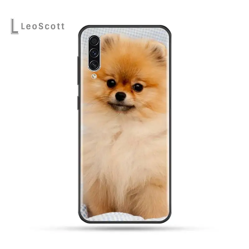 Pomeranian dogs dog Phone Case For Samsung Galaxy M10 20 30 A 40 50 70 71 6S A2 A6 A9 2018 J7 CORE PLUS STAR S10 5G C8
Pomeranian dogs dog Phone Case For Samsung Galaxy M10 20 30 A 40 50 70 71 6S A2 A6 A9 2018 J7 CORE PLUS STAR S10 5G C8