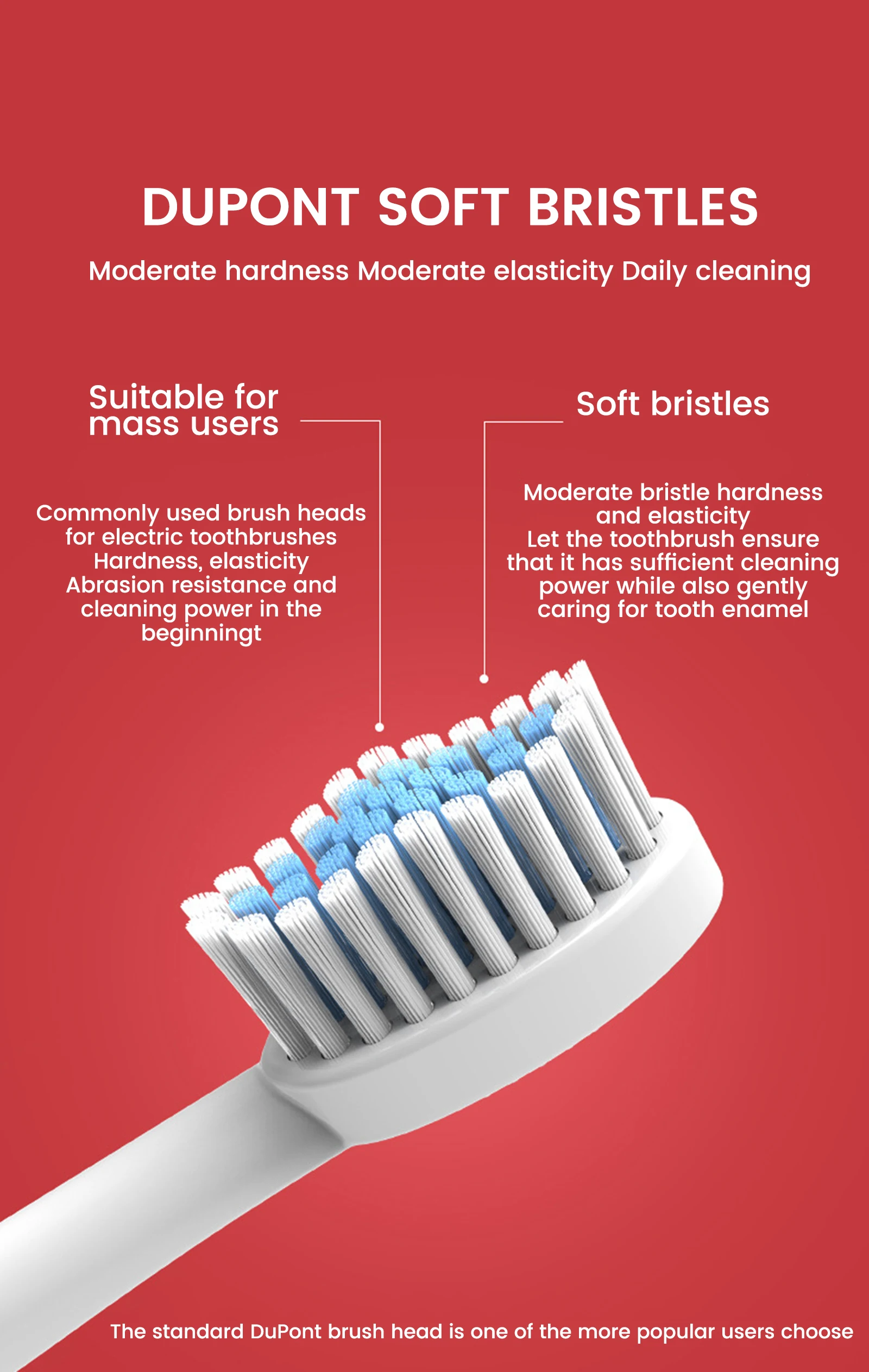 Electric Toothbrush Adult Household Non-rechargeable Couple Waterproof Smart Ultrasonic Soft Hair Electric Toothbrush Gift
Electric Toothbrush Adult Household Non-rechargeable Couple Waterproof Smart Ultrasonic Soft Hair Electric Toothbrush Gift