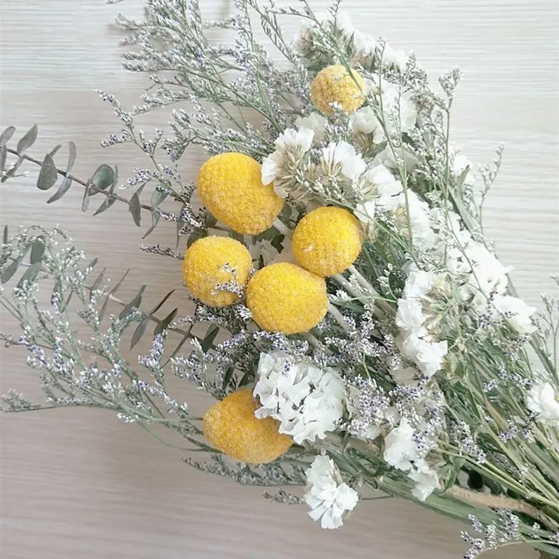 Real Plants Accessories Decorative Bouquet Natural Dried Flowers DIY Finished Photography Props Home Living Room Decoration
Real Plants Accessories Decorative Bouquet Natural Dried Flowers DIY Finished Photography Props Home Living Room Decoration