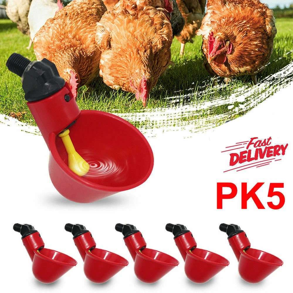 Pigeon Drinking Cup Automatic Drinker Chicken Feeder Plastic Poultry quail Water Drinking Cups Easy Installation
Pigeon Drinking Cup Automatic Drinker Chicken Feeder Plastic Poultry quail Water Drinking Cups Easy Installation