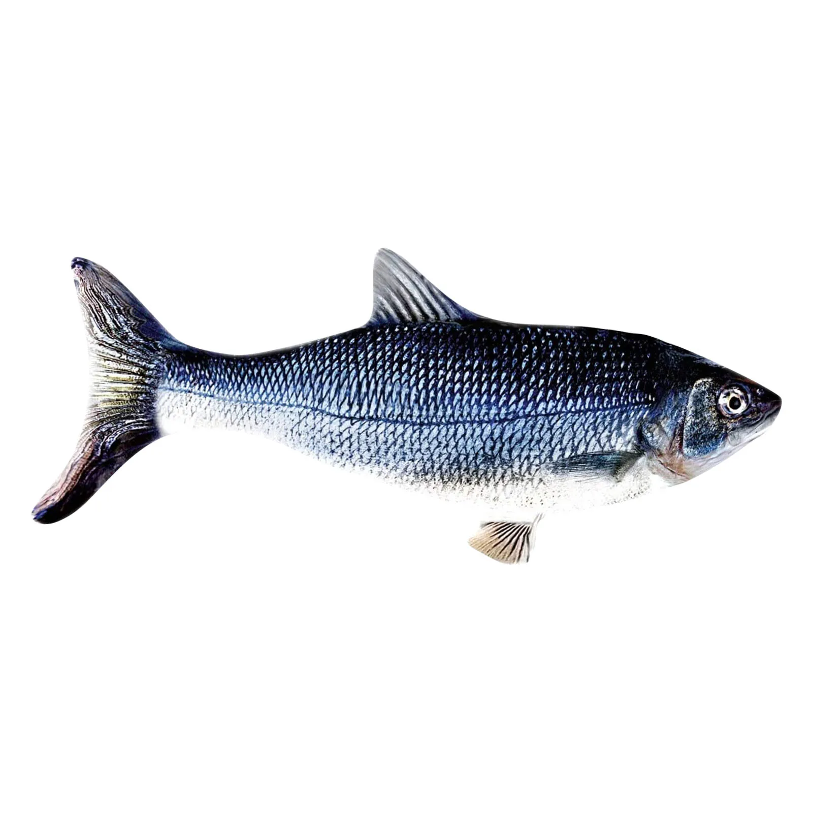 Electric Wagging Fish Cat Toy Catnip Kicker Toys Funny Interactive Pets Pillow Chew Bite Toy Fish Flop Cat Wagging Cat Happy Toy
Electric Wagging Fish Cat Toy Catnip Kicker Toys Funny Interactive Pets Pillow Chew Bite Toy Fish Flop Cat Wagging Cat Happy Toy