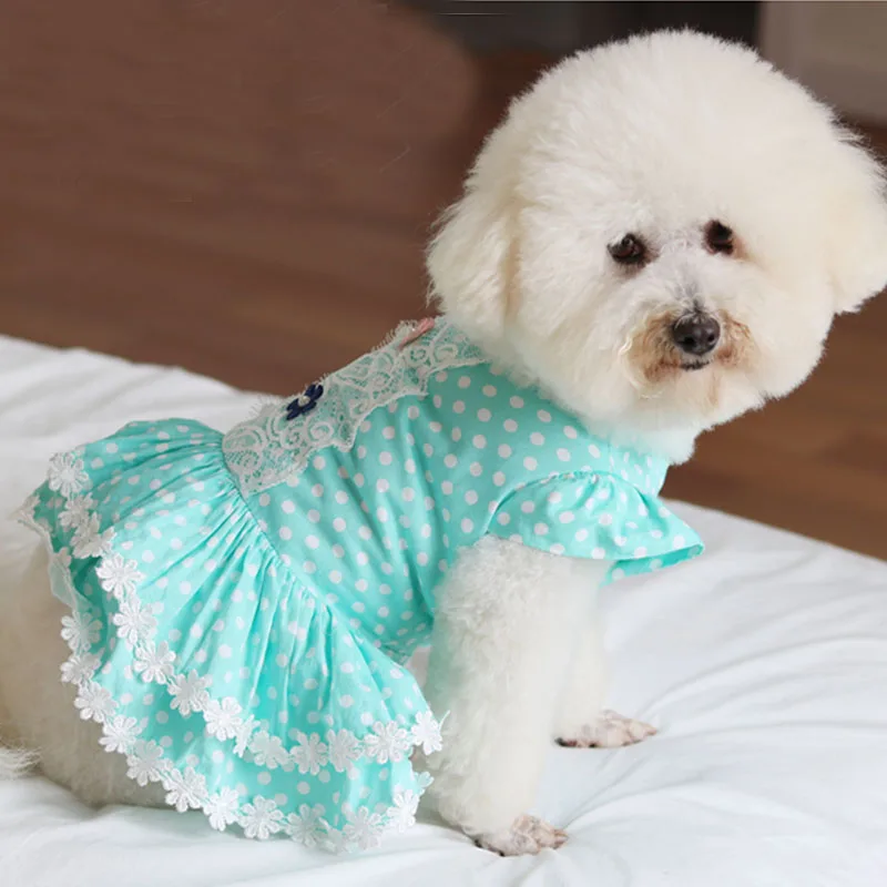 Pet Dog Summer Soft Cotton Vest Dresses Fashion Simple Dot Blue Lace Dress For Small Medium Dog Overalls Puppy Clothes Chihuahua
Pet Dog Summer Soft Cotton Vest Dresses Fashion Simple Dot Blue Lace Dress For Small Medium Dog Overalls Puppy Clothes Chihuahua