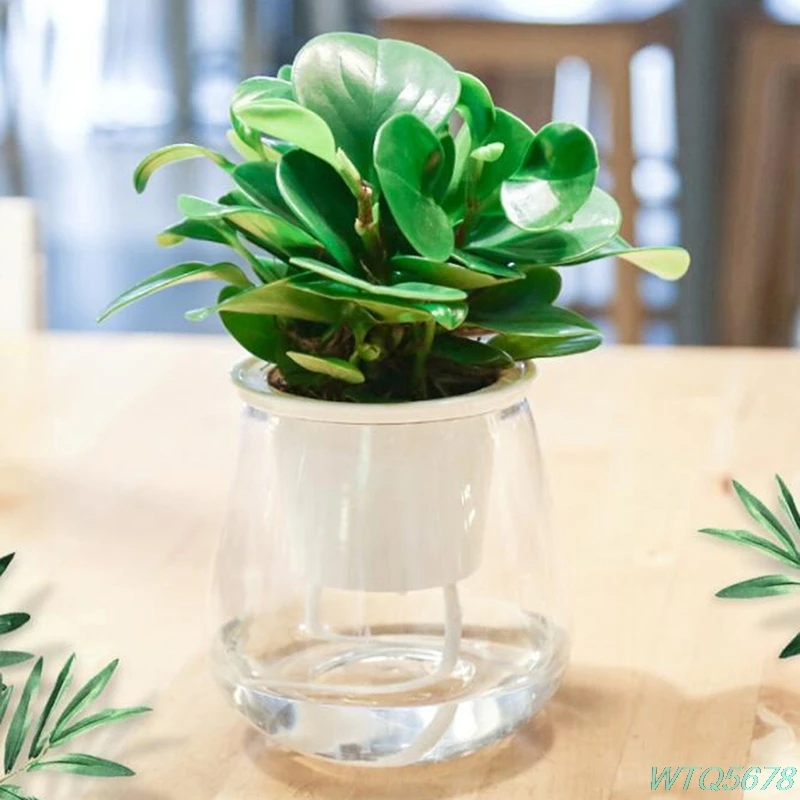 Automatic Watering Flowerpot Transparent Water Storage Plastic Flowerpot Fashion Minimalist Small Flower Pot
Automatic Watering Flowerpot Transparent Water Storage Plastic Flowerpot Fashion Minimalist Small Flower Pot