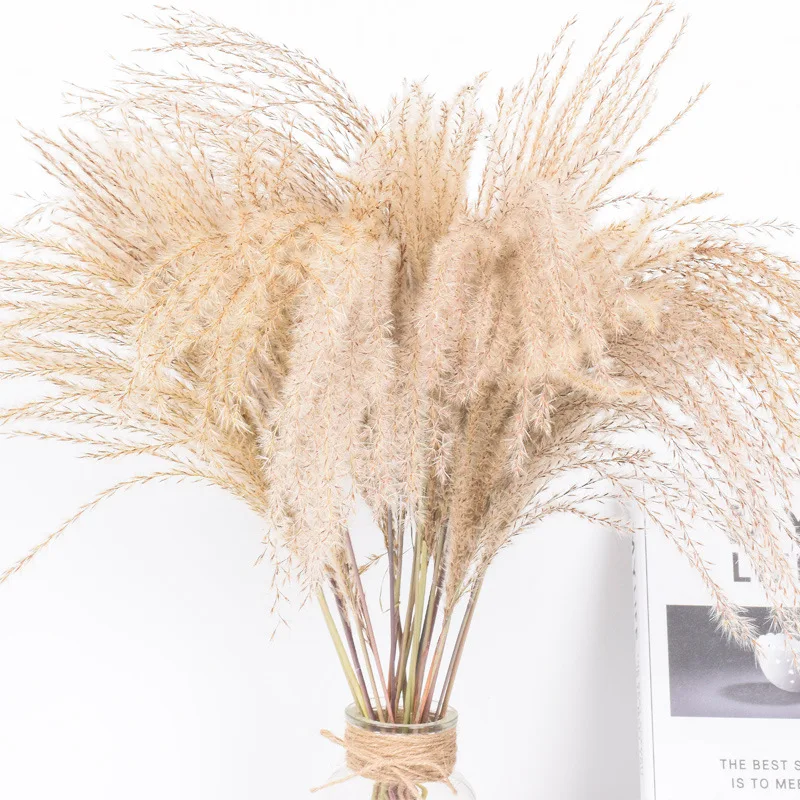 30 стеблей настоящая высушенный букет пампасная трава свадебный цветок