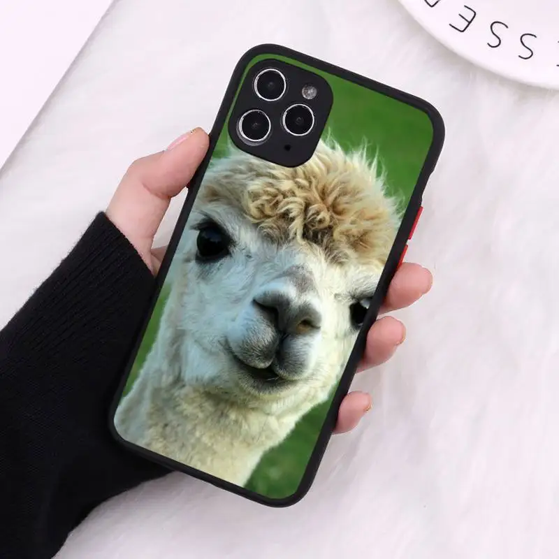 Lama Llama Alpacas Animal Phone Case For iPhone 12 11 Mini Pro XR XS Max 7 8 Plus X Matte transparent Cover
Lama Llama Alpacas Animal Phone Case For iPhone 12 11 Mini Pro XR XS Max 7 8 Plus X Matte transparent Cover