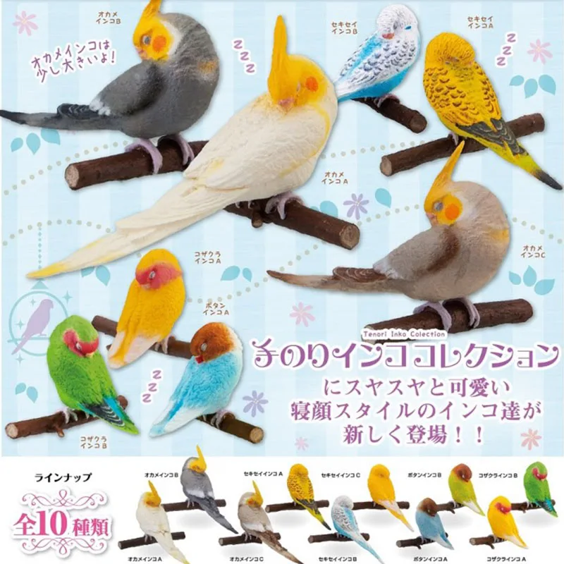 Japan Genuine Shine-g Sleeping Parrot Spangle Cockatiel Myiopsitta Monachus Budgerigar Capsule Toys Birds Figure Gashapon 
Japan Genuine Shine-g Sleeping Parrot Spangle Cockatiel Myiopsitta Monachus Budgerigar Capsule Toys Birds Figure Gashapon