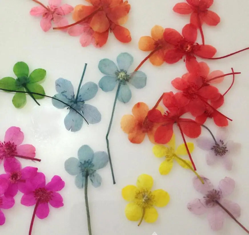100pcs Pressed Dried Flower water lily Filler For Epoxy Resin Pendant Necklace Jewelry Making Craft DIY Accessories
100pcs Pressed Dried Flower water lily Filler For Epoxy Resin Pendant Necklace Jewelry Making Craft DIY Accessories