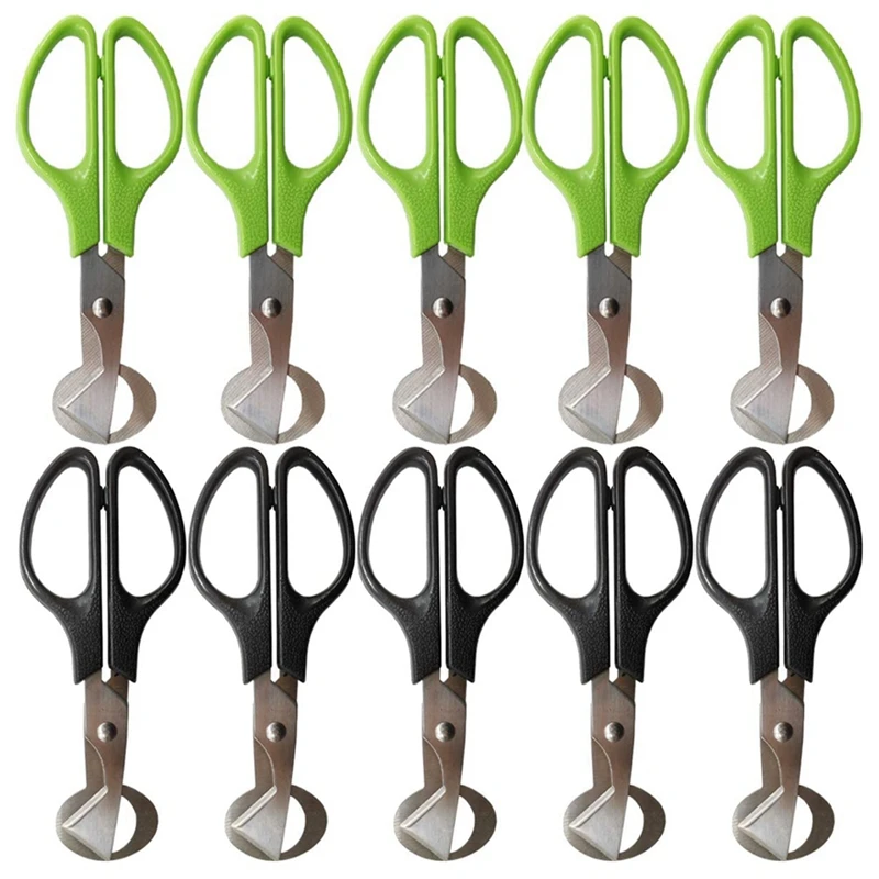 10PCS Quail Egg Scissors Quail Egg Shell Cutters Separator Small Quail Egg Cracker Quail Scissors Opener Cigar Cutter
10PCS Quail Egg Scissors Quail Egg Shell Cutters Separator Small Quail Egg Cracker Quail Scissors Opener Cigar Cutter