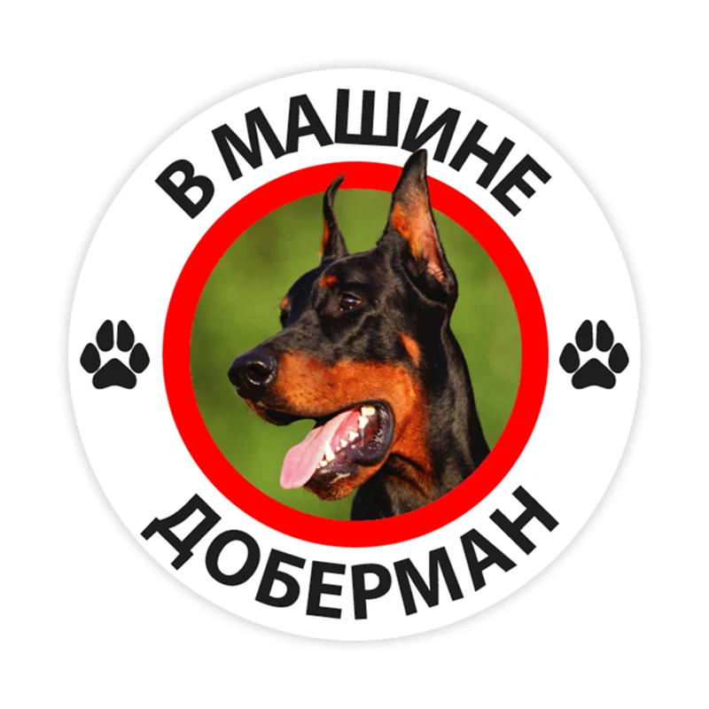B0282 #10/13/15 см Автомобильная самоклеящаяся наклейка Doberman из ПВХ, автомобильная наклейка, водонепроницаемые Автомобильные украшения на бампер... 
B0282 #10/13/15 см Автомобильная самоклеящаяся наклейка Doberman из ПВХ, автомобильная наклейка, водонепроницаемые Автомобильные украшения на бампер...
