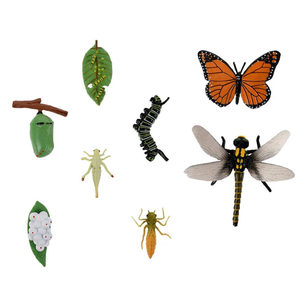 2 Sets Insects Models Dragonfly and Butterflies Growth Cycle Figurines for Kids
2 Sets Insects Models Dragonfly and Butterflies Growth Cycle Figurines for Kids