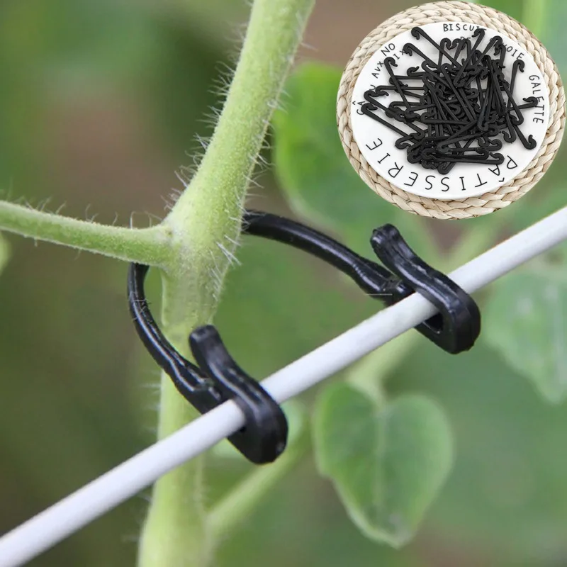 100PCS Vines Fastener Tied Buckle Hook Plant Vegetable Grafting Clips Agricultural Greenhouse Supplies
100PCS Vines Fastener Tied Buckle Hook Plant Vegetable Grafting Clips Agricultural Greenhouse Supplies
