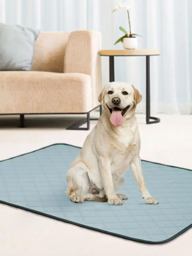 Подгузники для собак, моющиеся современные Нескользящие, Многоразовые водонепроницаемые, для дрессировки питомцев
Подгузники для собак, моющиеся современные Нескользящие, Многоразовые водонепроницаемые, для дрессировки питомцев