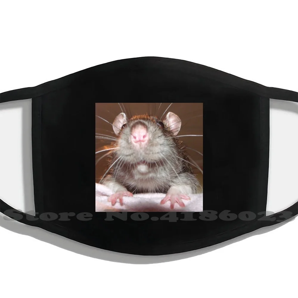The Grinning Rat Fashion Funny Mouth Mask Face Masks Mindgoop Grinning Rat Rat Laughing Cute Funny Rat Photography Happy Rat
The Grinning Rat Fashion Funny Mouth Mask Face Masks Mindgoop Grinning Rat Rat Laughing Cute Funny Rat Photography Happy Rat
