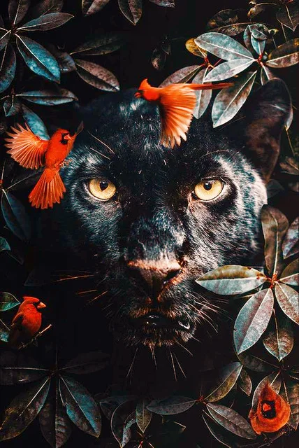 Diamond Full Diamond Embroidery DIY Diamond Painting Cross Stitch Round Drill Tiger Lion Face& Flowers Picture of Rhinestones
Diamond Full Diamond Embroidery DIY Diamond Painting Cross Stitch Round Drill Tiger Lion Face& Flowers Picture of Rhinestones
