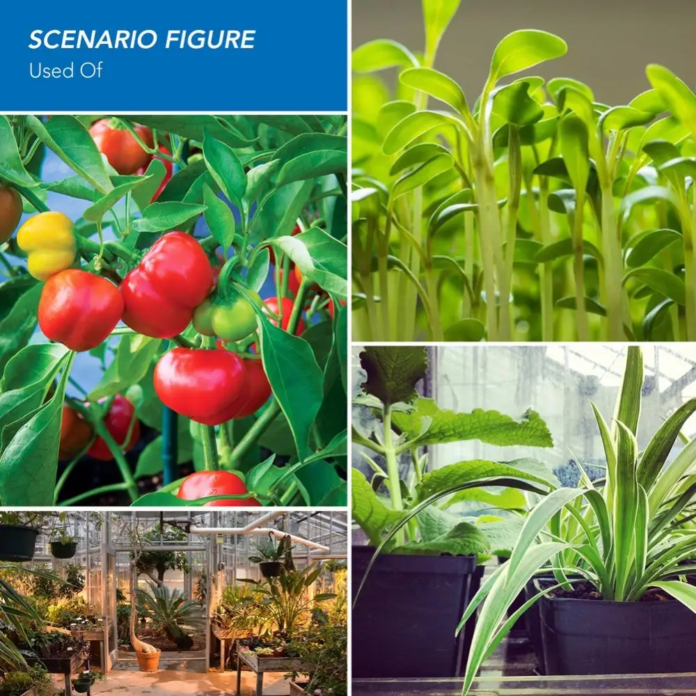 Full Spectrum Grow Lamp E27 LED Grow Light GU10 E14 LED Growing Lamp for Hydroponics Flower Plants Vegetables Growing Light
Full Spectrum Grow Lamp E27 LED Grow Light GU10 E14 LED Growing Lamp for Hydroponics Flower Plants Vegetables Growing Light