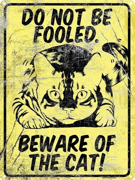 Metal sign wall sign wall decorative plaque art collection Tin Sign Beware Of The Cat Wall Metal Poster 20*30CM 8x12inch
Metal sign wall sign wall decorative plaque art collection Tin Sign Beware Of The Cat Wall Metal Poster 20*30CM 8x12inch