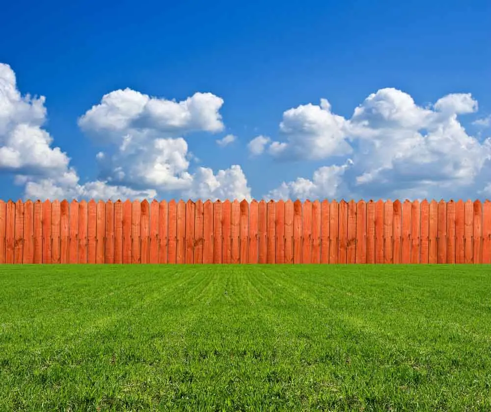SHUOZHIKE Vinyl Custom Photography Backdrops Prop Board Wood Planks theme Photo Studio Background S17924-21
SHUOZHIKE Vinyl Custom Photography Backdrops Prop Board Wood Planks theme Photo Studio Background S17924-21