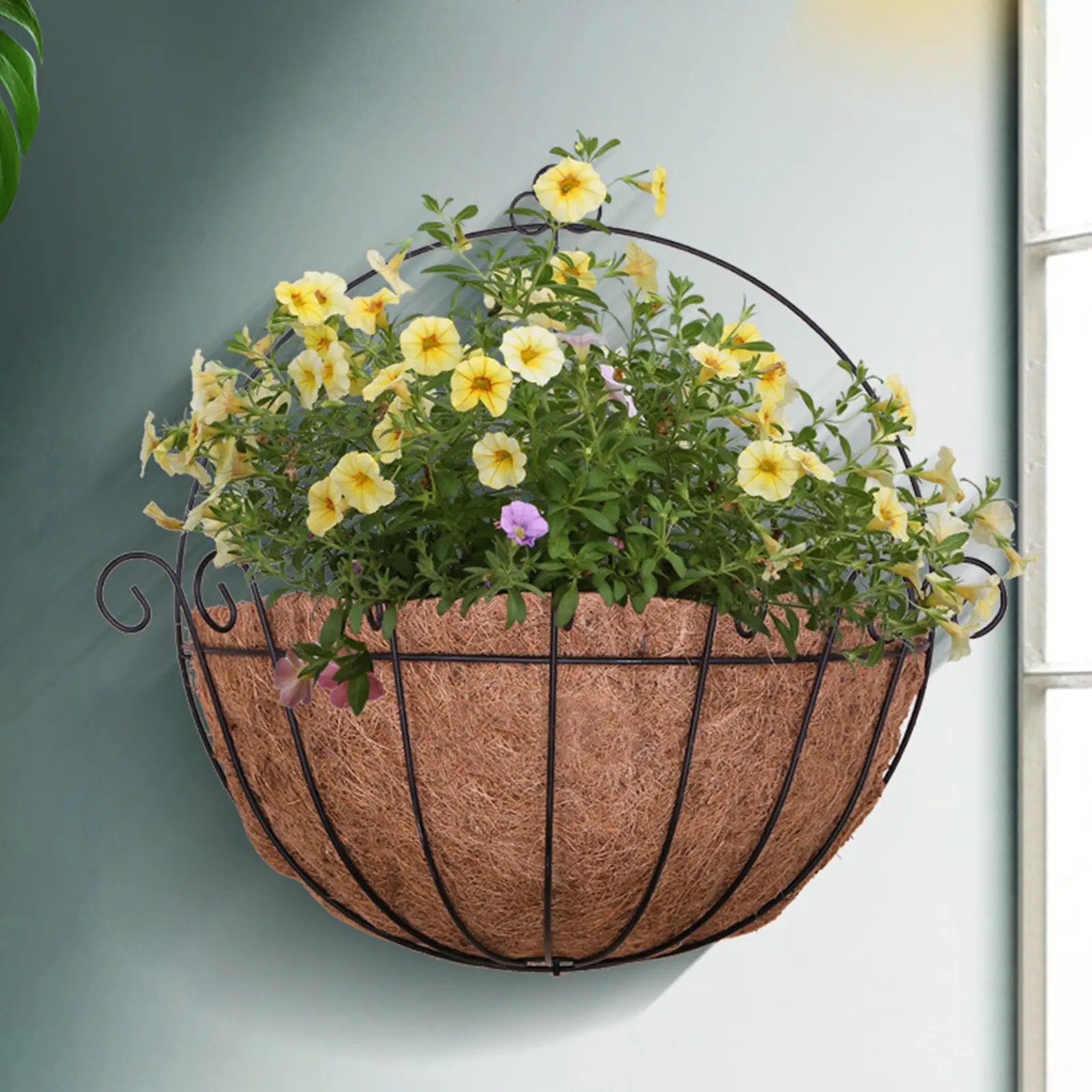 Креативный подвесной горшок для цветов из кокоса, овощей, корзина, кашпо, садовый декор, железный художественный Садовый цветок и кашпо, гор...
Креативный подвесной горшок для цветов из кокоса, овощей, корзина, кашпо, садовый декор, железный художественный Садовый цветок и кашпо, гор...