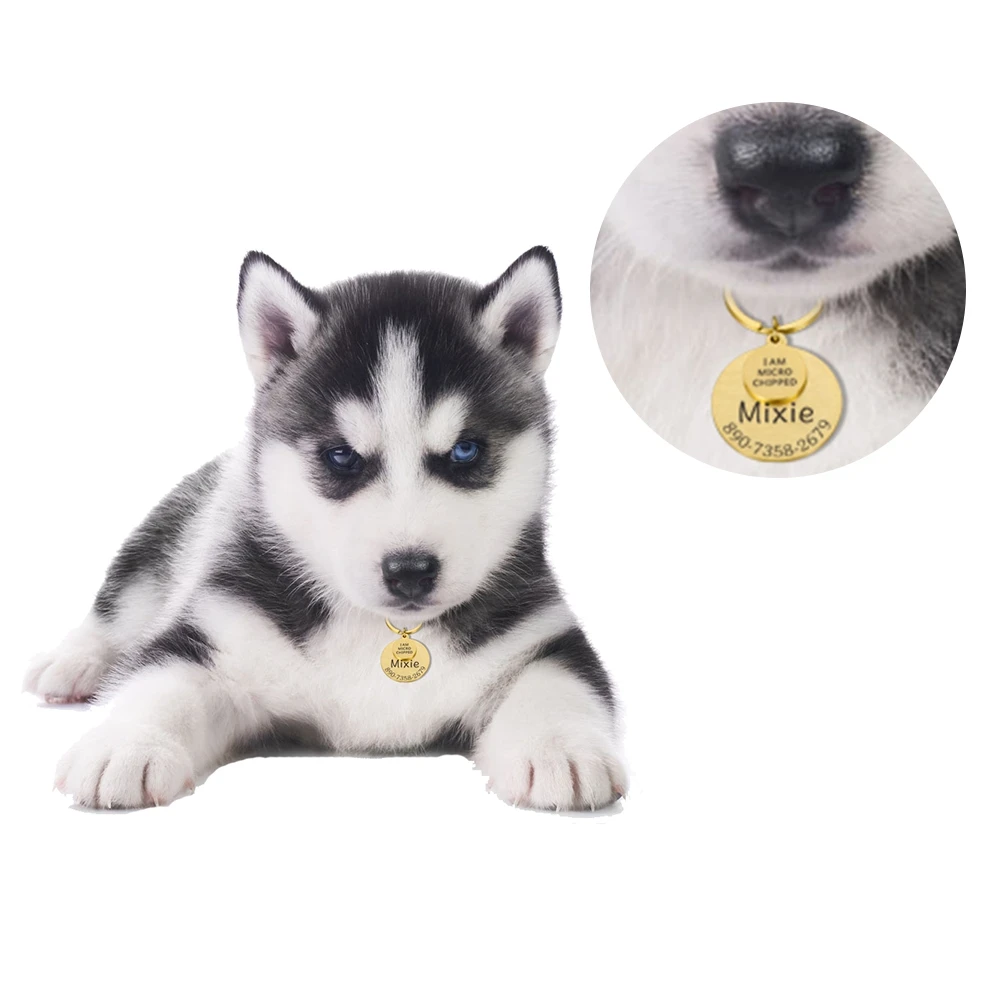 Personalized Dog Cat ID Tag Keychain I Am Microchipped Name Number Stainless Steel Keyring Pet Id Collar | Украшения и аксессуары