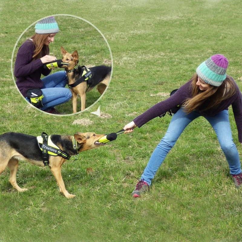 Truelove Feed Dummy Dog Pet Treat Bag Reflective Dog Training Carry Treats Dog Toys Pet Feed Pocket Pouch Poop Bag Dispenser
Truelove Feed Dummy Dog Pet Treat Bag Reflective Dog Training Carry Treats Dog Toys Pet Feed Pocket Pouch Poop Bag Dispenser