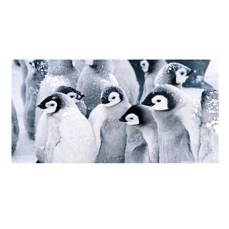 

Cute Baby Penguin Microfiber Bath Towels Lovely Group of Ice Penguin Beach Sport Swimming Towels Animal Shower Towels Quick Dry