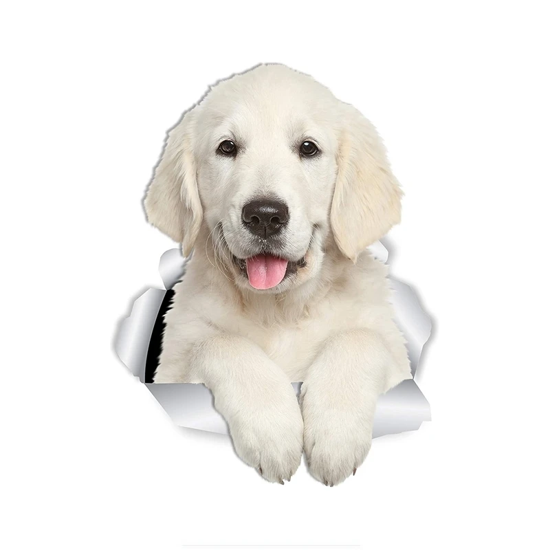 Dawasaru Gorgeous Golden Retriever 3D Dog Sticker for Car Laptop Luggage Refrigerator Door Decor Waterproof Toy,15cm
Dawasaru Gorgeous Golden Retriever 3D Dog Sticker for Car Laptop Luggage Refrigerator Door Decor Waterproof Toy,15cm