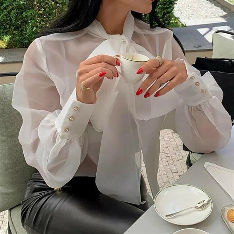 Elegant Women See-through Sheer Mesh Transparent Solid Blouse Puff Long Sleeve Shirts Summer Spring Tops
Elegant Women See-through Sheer Mesh Transparent Solid Blouse Puff Long Sleeve Shirts Summer Spring Tops