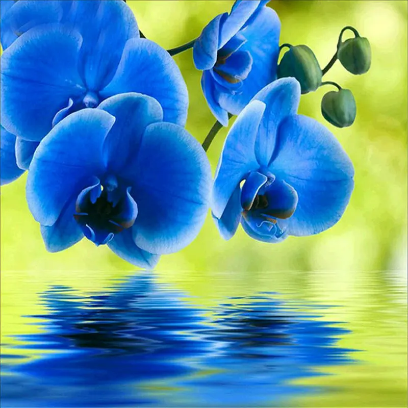 Full Blue Flowers Diamond Painting Round Square AB 5D DIY Drill Resin Icon Handicraft Patch Embroidered
Full Blue Flowers Diamond Painting Round Square AB 5D DIY Drill Resin Icon Handicraft Patch Embroidered