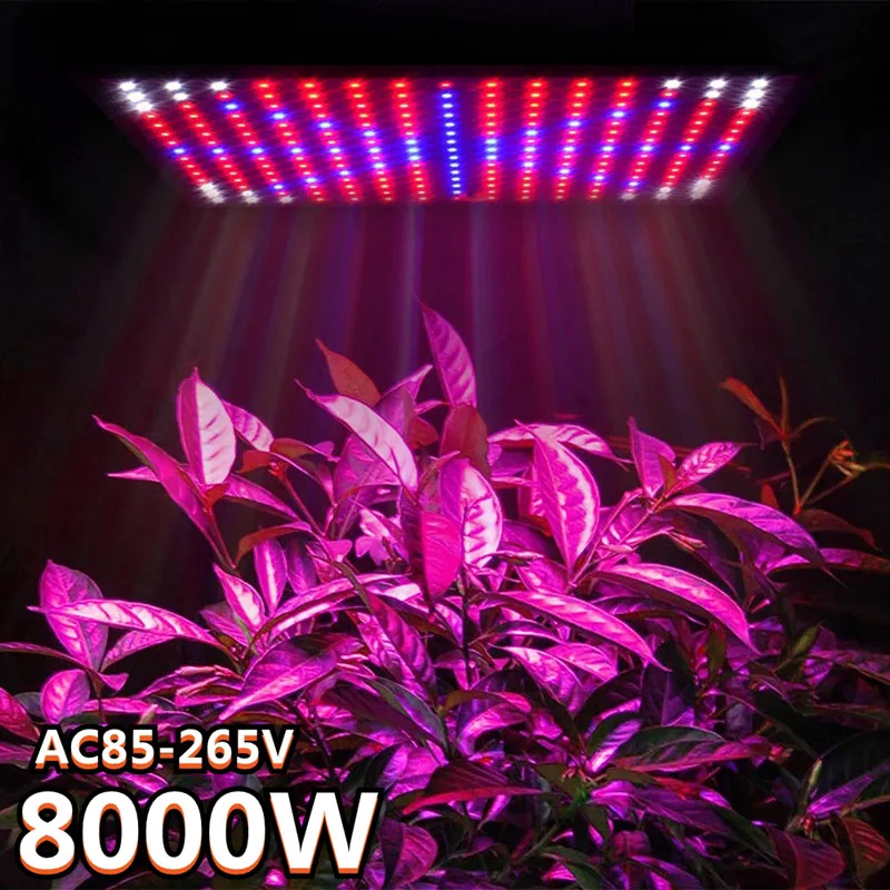 8000W High Power 225 LED Phyto-lamp LED Grow Light Full Spectrum LED Panel Grow Lamp AC85-265V For Plants Hydroponics Tent
8000W High Power 225 LED Phyto-lamp LED Grow Light Full Spectrum LED Panel Grow Lamp AC85-265V For Plants Hydroponics Tent
