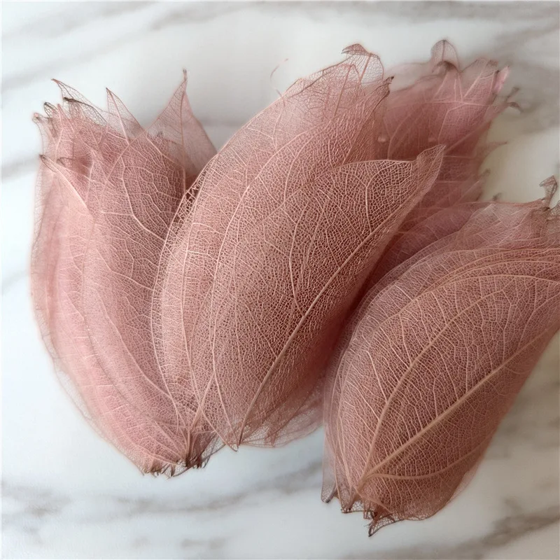 5-8cm/90pcs,Nature Real Touch Leaf vein Petals,Dried Pressed flowers for DIY Candles Bookmark Gift Card,Flores wedding decor
5-8cm/90pcs,Nature Real Touch Leaf vein Petals,Dried Pressed flowers for DIY Candles Bookmark Gift Card,Flores wedding decor