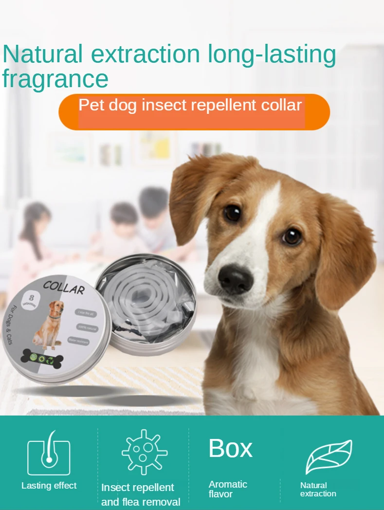 Retractable Deworming Dog Cat Collar 8 Month Anti Flea and Ticks Prevention Mosquitoes Repellent Collar for Cat Dog Pet Products
Retractable Deworming Dog Cat Collar 8 Month Anti Flea and Ticks Prevention Mosquitoes Repellent Collar for Cat Dog Pet Products