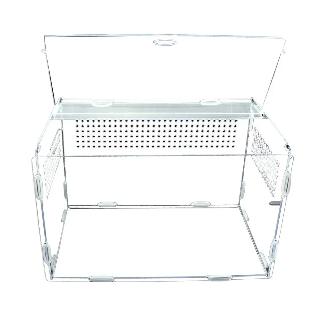 Reptile Breeding Box Lizard Centipede Spider Chameleon Terrarium Ornamental Box Acrylic Terrarium Transparent Box Pet Supplies
Reptile Breeding Box Lizard Centipede Spider Chameleon Terrarium Ornamental Box Acrylic Terrarium Transparent Box Pet Supplies