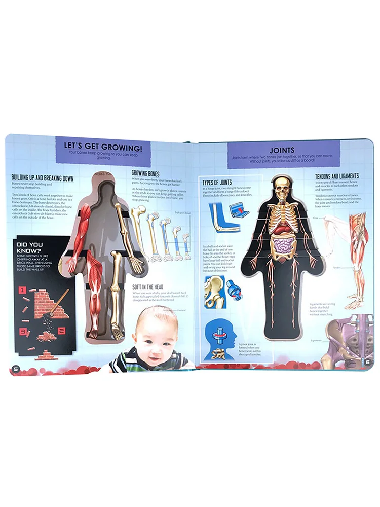 3D Picture Human Body Structure Anatomy Science Cognitive Reading Children Early Education Books Kids Toys Science Notebook
3D Picture Human Body Structure Anatomy Science Cognitive Reading Children Early Education Books Kids Toys Science Notebook