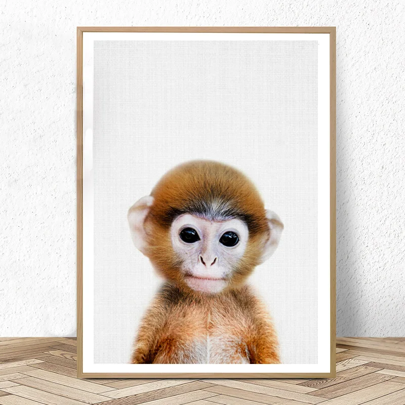 Cute Baby Monkey Print Nursery Animal Wall Art Canvas Painting Large Posters and Prints Babies Kids Bedroom Decoration 
Cute Baby Monkey Print Nursery Animal Wall Art Canvas Painting Large Posters and Prints Babies Kids Bedroom Decoration