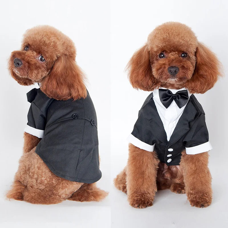 Pet Dog Cat Clothes Wedding Suit Tuxedo Bow Tie Puppy Coat 5 Sizes For Large Small Dog
Pet Dog Cat Clothes Wedding Suit Tuxedo Bow Tie Puppy Coat 5 Sizes For Large Small Dog