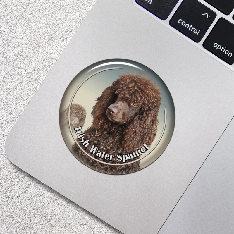 

A0603# 13cm/17cm Removable Decal Irish Water Spaniel Dog Pet Car Sticker Waterproof Accessories on Bumper Rear Window Laptop