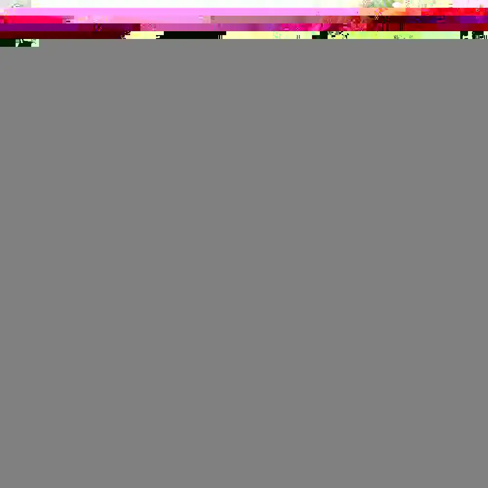 45x45CM Home Pillow Case Cushion Cover Square Family Wedding Party Flower Rose Sunflower Floral Sofa Seat Chair Decor Car Office
45x45CM Home Pillow Case Cushion Cover Square Family Wedding Party Flower Rose Sunflower Floral Sofa Seat Chair Decor Car Office