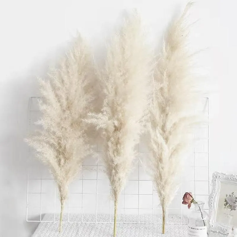 55cm/pcs Pampas Grass Dried Natural Phragmites Flowers Decor Home Wedding Christmas Big Reed Plants Flower Bouquet Decoration
55cm/pcs Pampas Grass Dried Natural Phragmites Flowers Decor Home Wedding Christmas Big Reed Plants Flower Bouquet Decoration