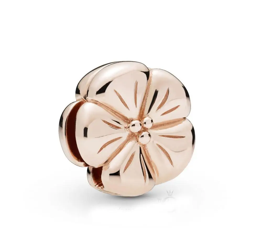 Genuine 100% 925 Sterling Silver Beads Reflexion Polished Flower Clip Charm fit Original Pandora Bracelet Women DIY Jewelry
Genuine 100% 925 Sterling Silver Beads Reflexion Polished Flower Clip Charm fit Original Pandora Bracelet Women DIY Jewelry