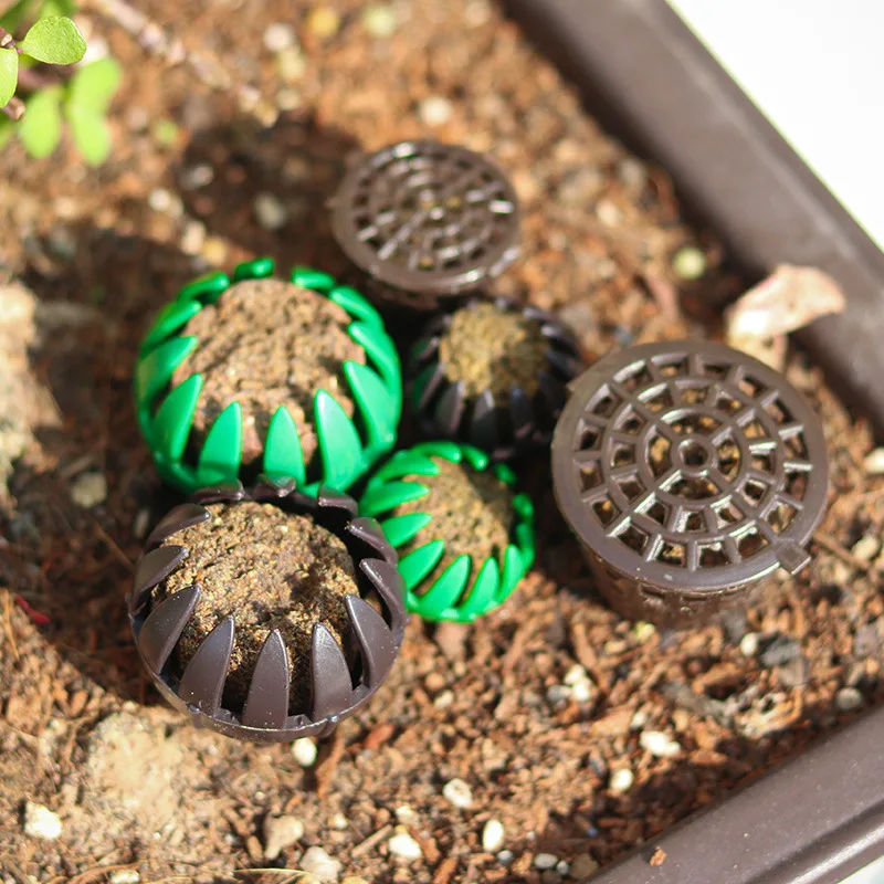 Plastic Plant Box Fertilization Tools Agriculture Garden Bonsai Automatic Small Seedlings Garden Planting Seedling Potted Tool
Plastic Plant Box Fertilization Tools Agriculture Garden Bonsai Automatic Small Seedlings Garden Planting Seedling Potted Tool