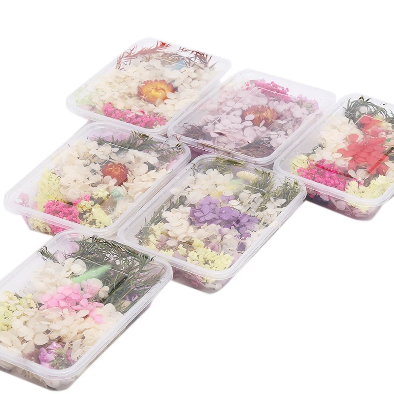 1 Box Natural Floral Sticker 3D Dry Beauty Nail Art Decals Epoxy Mold DIY Filling Jewelry Dried Flowers Decoration
1 Box Natural Floral Sticker 3D Dry Beauty Nail Art Decals Epoxy Mold DIY Filling Jewelry Dried Flowers Decoration