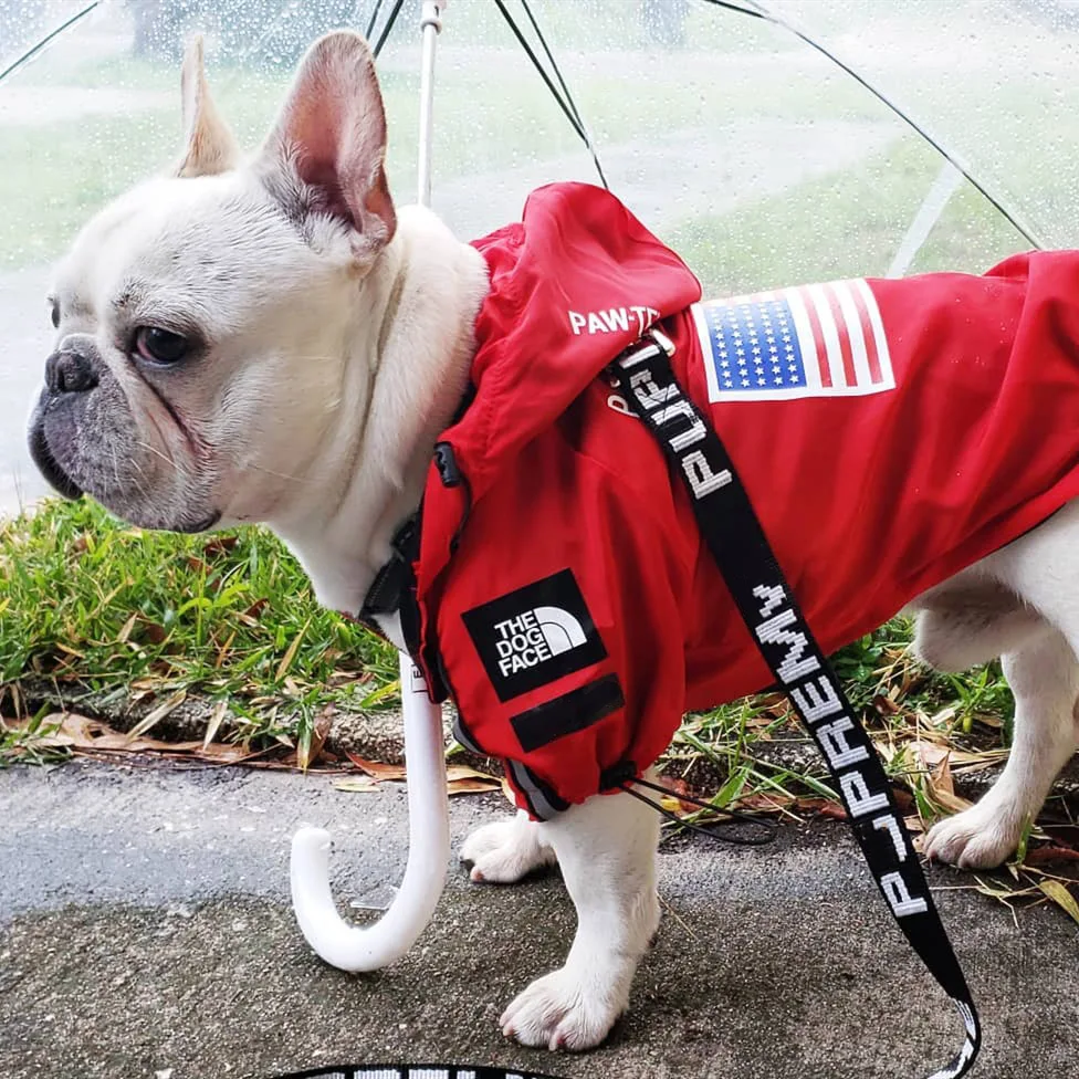 Dogface Pet Clothes Fashion Dog Raincoat Windproof Waterproof Dog Jacket Windbreaker French Bulldog Reflective Coats Large Dogs
Dogface Pet Clothes Fashion Dog Raincoat Windproof Waterproof Dog Jacket Windbreaker French Bulldog Reflective Coats Large Dogs